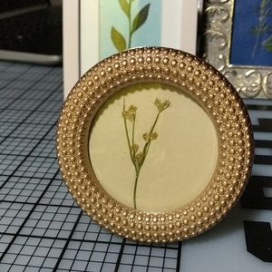 Round, gold, mini frame, botanical decor